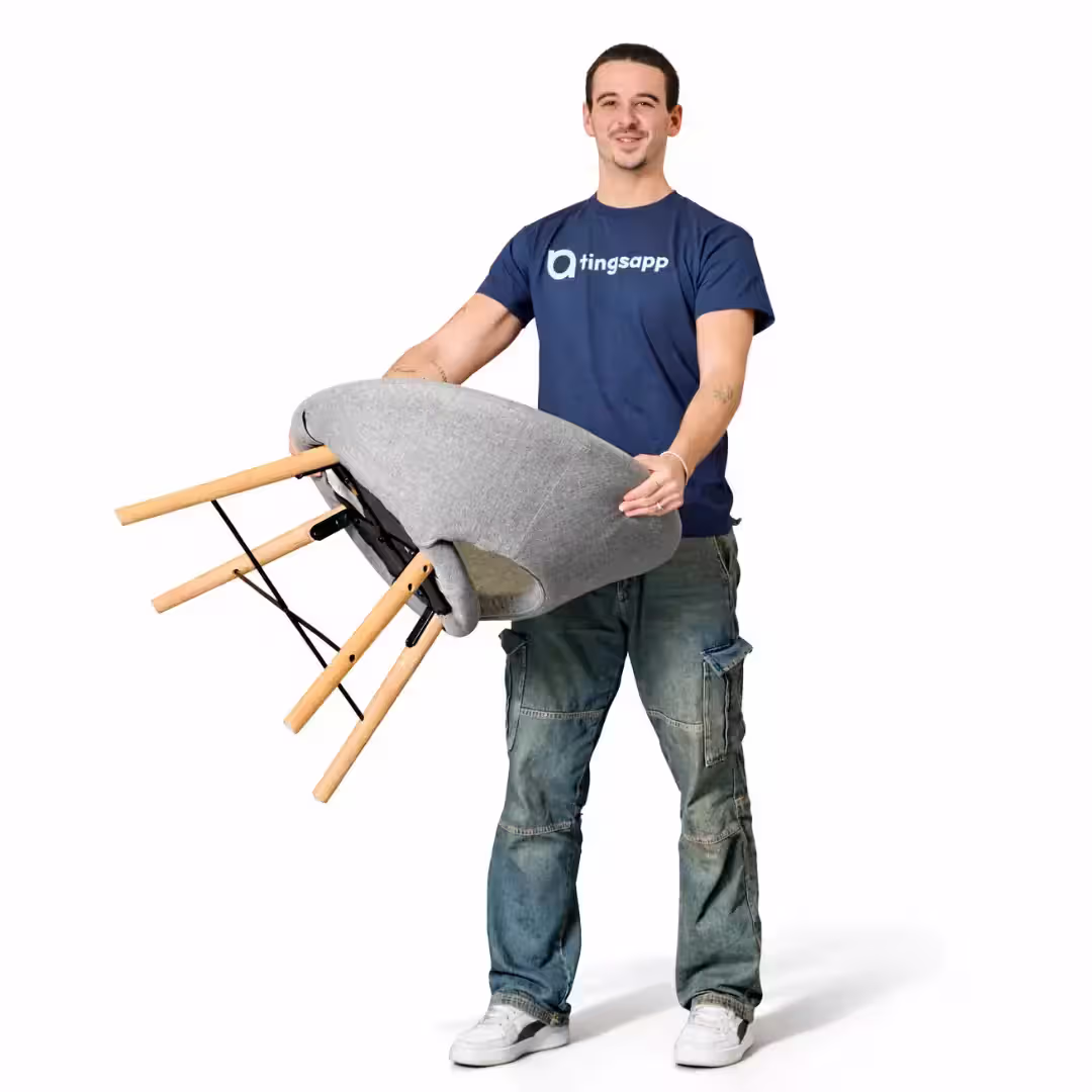 Professional mover
