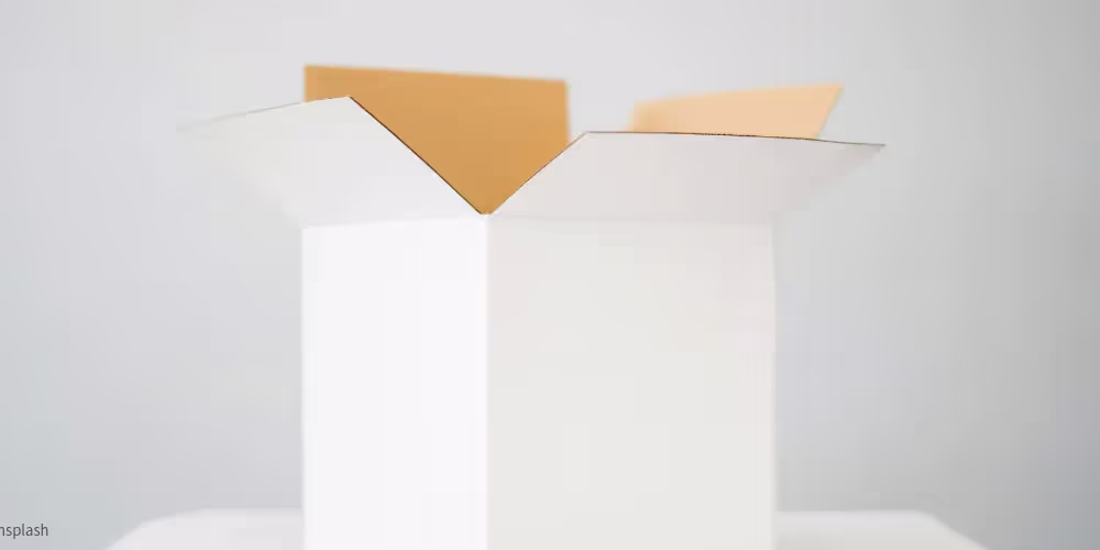 Essential Packing Supplies for a Local Move in BC - Tingsapp Blog