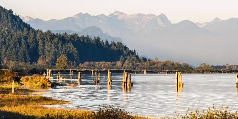 Living in Port Coquitlam: Rent, Neighbourhoods, Trade-offs - Tingsapp Blog