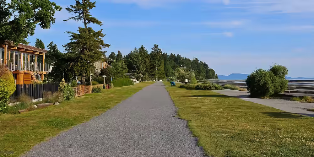Movers in Surrey, BC: Costs, Access, and What to Check - Tingsapp Blog