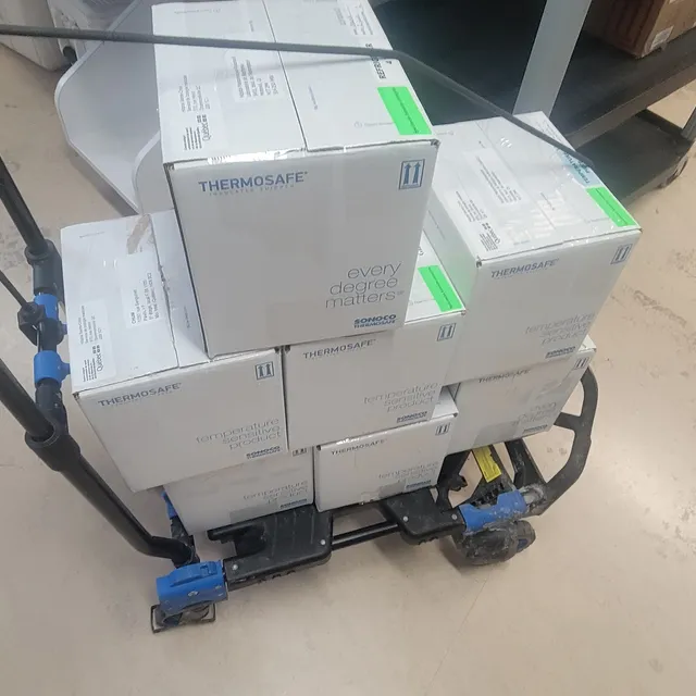 Services GDO - Mover in Shawinigan