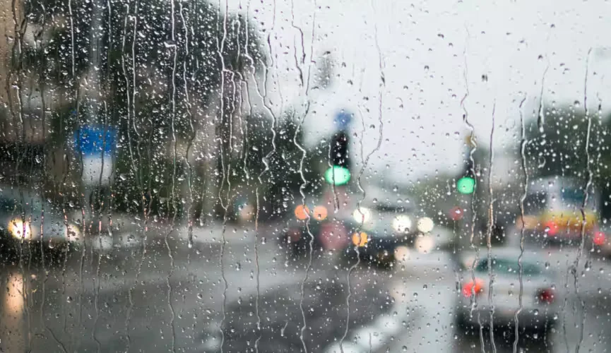 Moving in the Rain in Vancouver: How to Keep Things Dry
