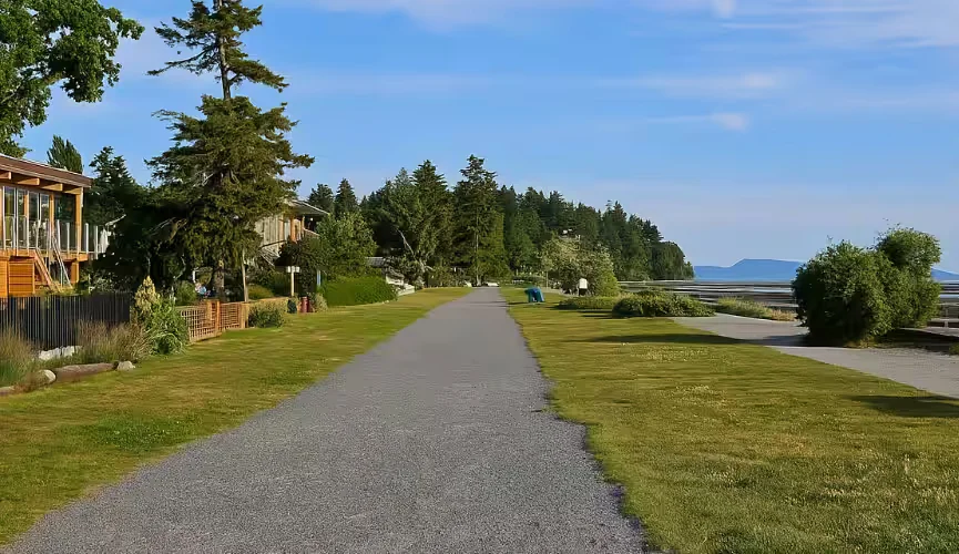 Moving a Basement Suite or Townhouse in Surrey